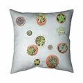 Begin Home Decor 26 x 26 in. Cactus Plants-Double Sided Print Indoor Pillow 5541-2626-FL331